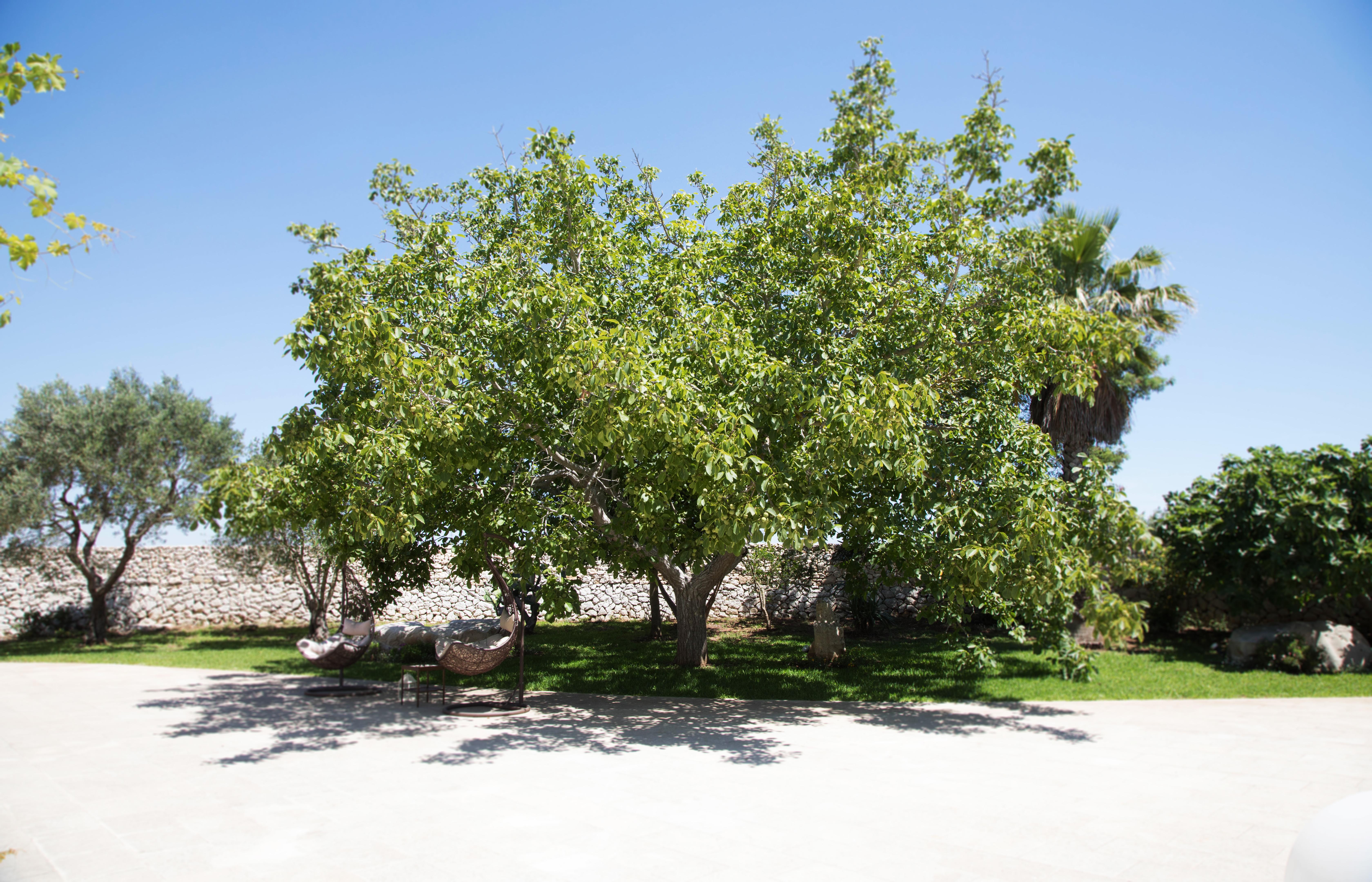 Don Agostino Relais Masseria Martano Bagian luar foto